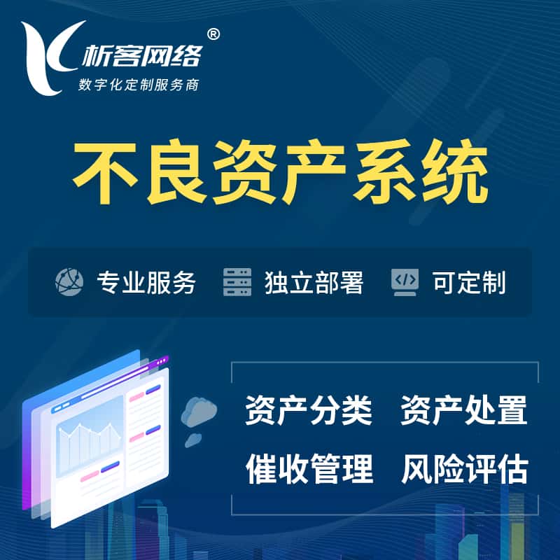 四川不良资产管理系统