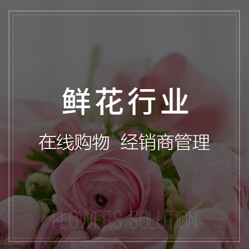 四川外贸网站定制如何突破国际市场壁垒